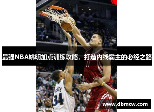 最强NBA姚明加点训练攻略，打造内线霸主的必经之路