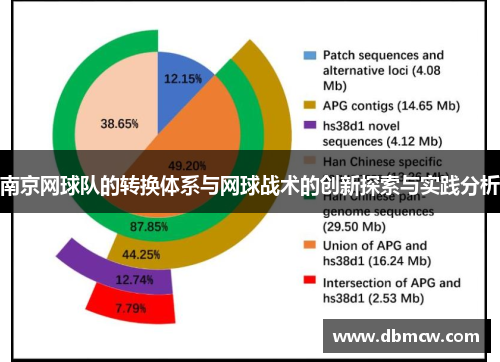 南京网球队的转换体系与网球战术的创新探索与实践分析