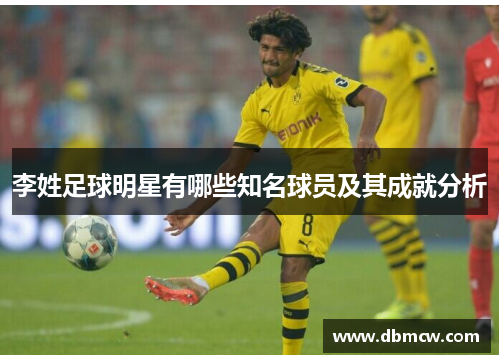 李姓足球明星有哪些知名球员及其成就分析