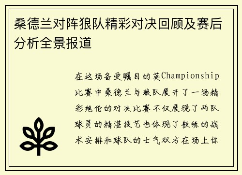 桑德兰对阵狼队精彩对决回顾及赛后分析全景报道